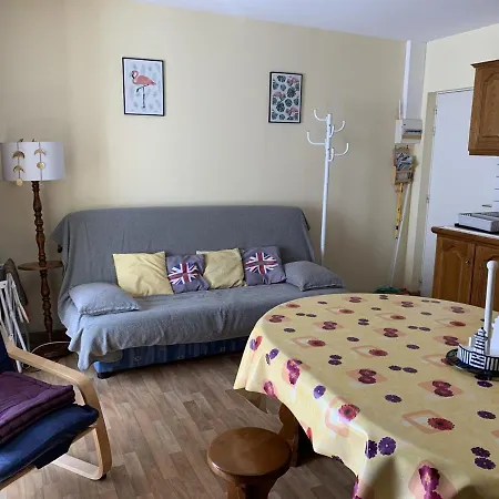 Daire Centre De : 2 Chambres, Balcon Sud, Et Commerces A Proximite - Fr-1-482-112